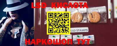 ECSTASY Новодвинск