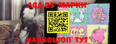 спиды Новозыбков