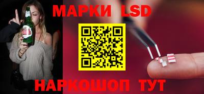 ECSTASY Новодвинск