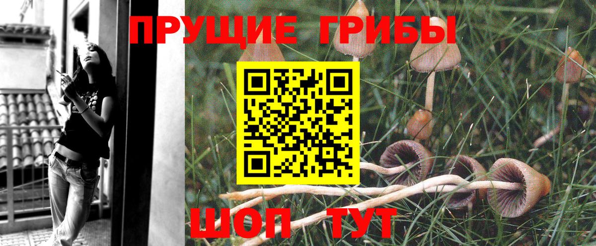 Галлюциногенные грибы Magic Shrooms Советская Гавань