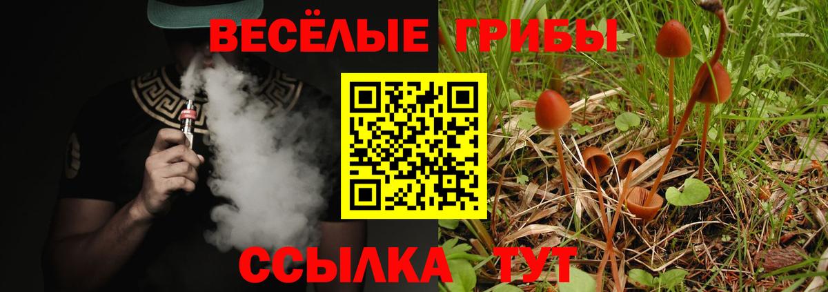 Галлюциногенные грибы мухоморы  Вход с VPN  Советская Гавань  Псилоцибиновые грибы мухоморы 